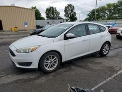 Ford Focus SE salvage cars for sale: 2016 Ford Focus SE