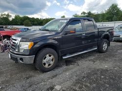 Ford salvage cars for sale: 2010 Ford F150 Supercrew