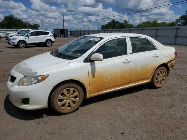 2009 Toyota Corolla Base