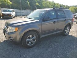 2009 Ford Escape XLT for sale in Hurricane, WV