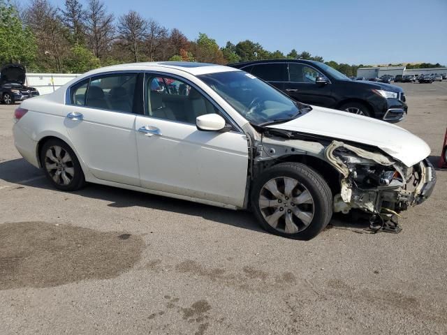 2008 Honda Accord EXL