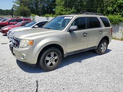 Ford Escape salvage cars for sale: 2010 Ford Escape XLT