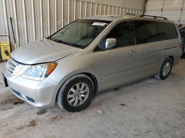 2008 Honda Odyssey EXL