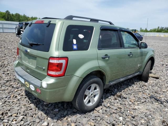 2010 Ford Escape Hybrid