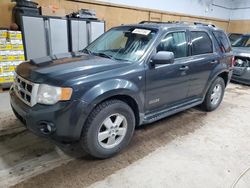 2008 Ford Escape XLT for sale in Kincheloe, MI
