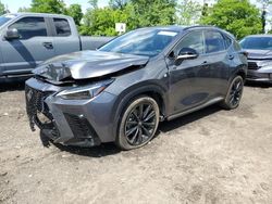 2024 Lexus NX 450H Luxury en venta en Marlboro, NY