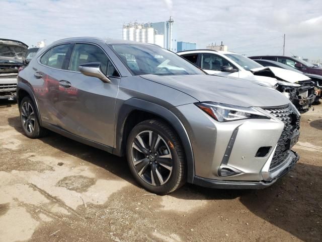 2019 Lexus UX 250H