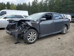 Toyota salvage cars for sale: 2009 Toyota Corolla Base