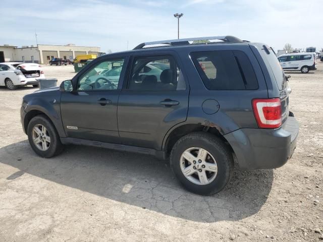 2008 Ford Escape HEV