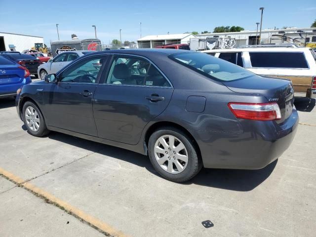 2009 Toyota Camry Hybrid