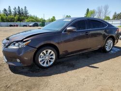 Lexus ES300 salvage cars for sale: 2013 Lexus ES 300H