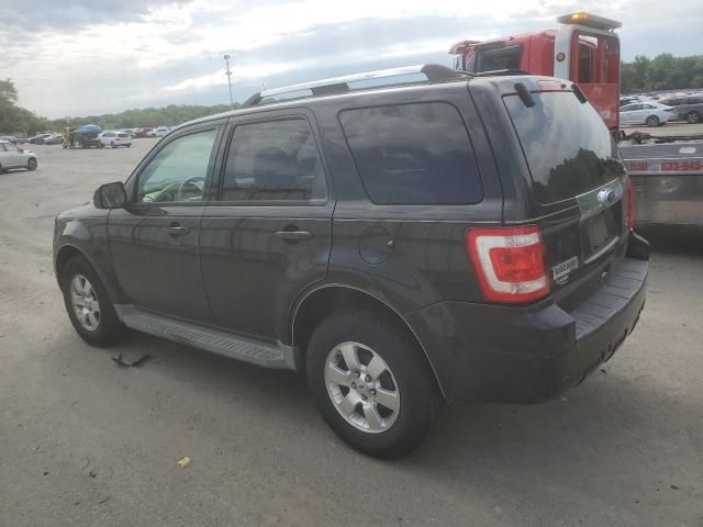 2011 Ford Escape Limited