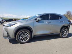 2022 Lexus NX 350 for sale in Brookhaven, NY