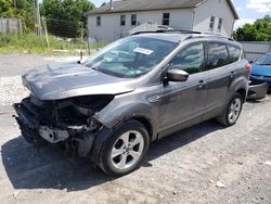 Salvage cars for sale from Copart York Haven, PA: 2013 Ford Escape SE
