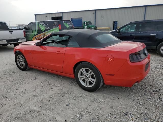 2014 Ford Mustang