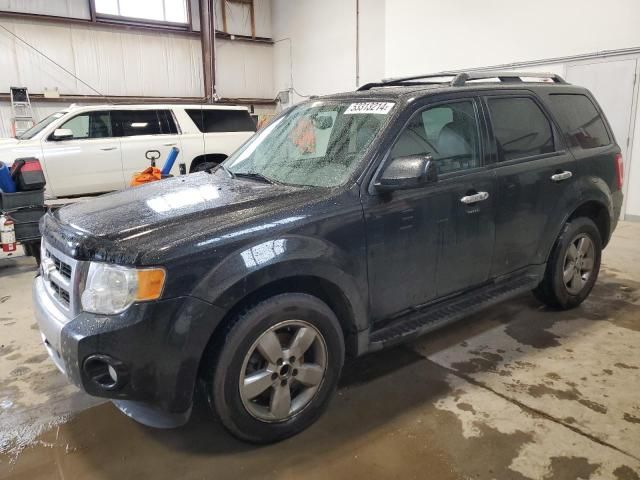 2011 Ford Escape Limited