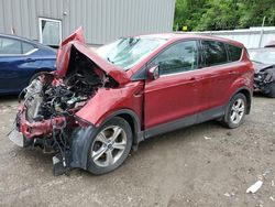 Salvage cars for sale from Copart West Mifflin, PA: 2013 Ford Escape SE