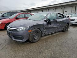 2016 Honda Civic LX for sale in Louisville, KY