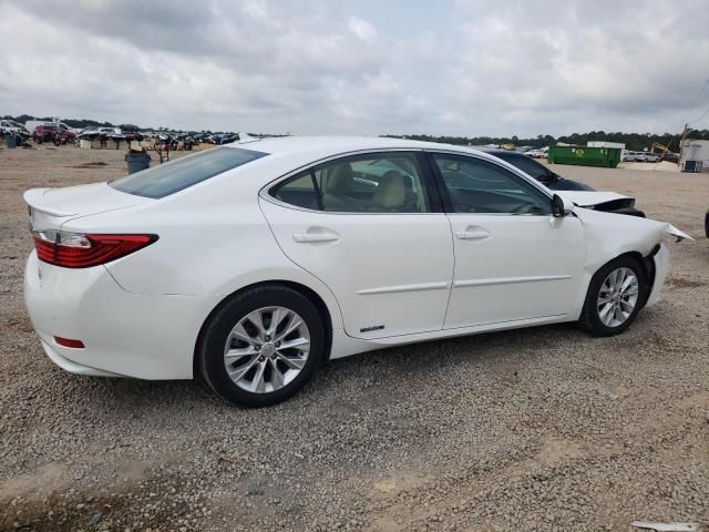 2013 Lexus ES 300H