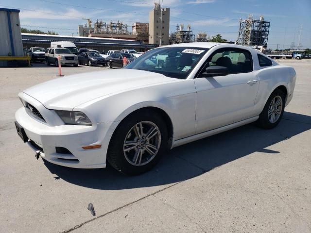 2014 Ford Mustang