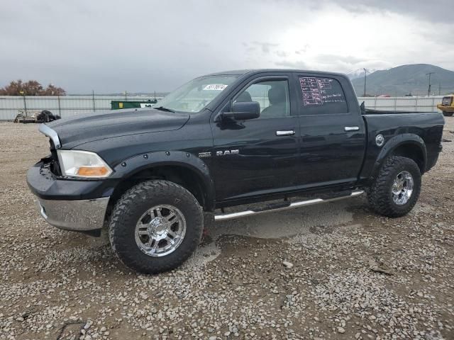 2009 Dodge RAM 1500