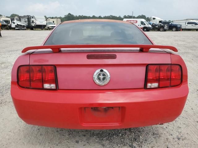 2005 Ford Mustang