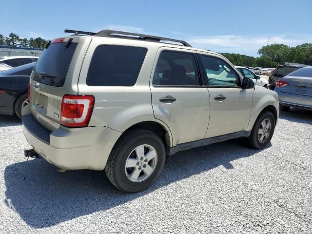 2010 Ford Escape XLT