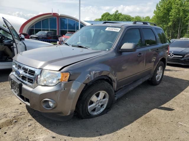 2011 Ford Escape XLT