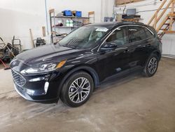 2020 Ford Escape SEL en venta en Ham Lake, MN