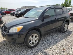 Toyota salvage cars for sale: 2010 Toyota Rav4