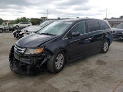 Honda Odyssey exl Vehiculos salvage en venta: 2016 Honda Odyssey EXL