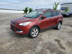 2016 Ford Escape SE for sale in Mcfarland, WI