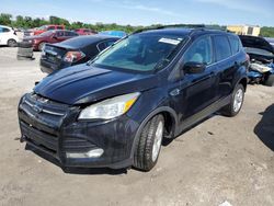 Ford salvage cars for sale: 2013 Ford Escape SE