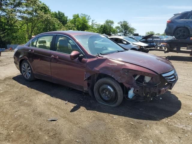 2011 Honda Accord EXL