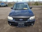 2005 Ford Escape Limited