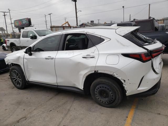 2023 Lexus NX 350H