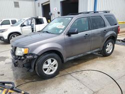 Ford salvage cars for sale: 2012 Ford Escape XLT