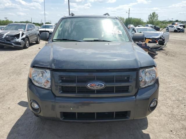 2009 Ford Escape Hybrid