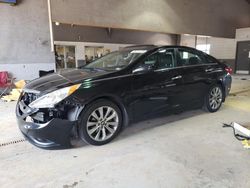 Hyundai Sonata se salvage cars for sale: 2013 Hyundai Sonata SE