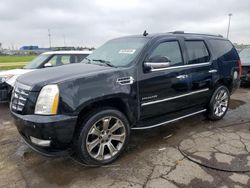 Cadillac Escalade salvage cars for sale: 2007 Cadillac Escalade Luxury