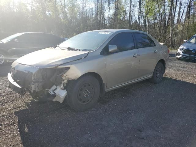 2009 Toyota Corolla Base