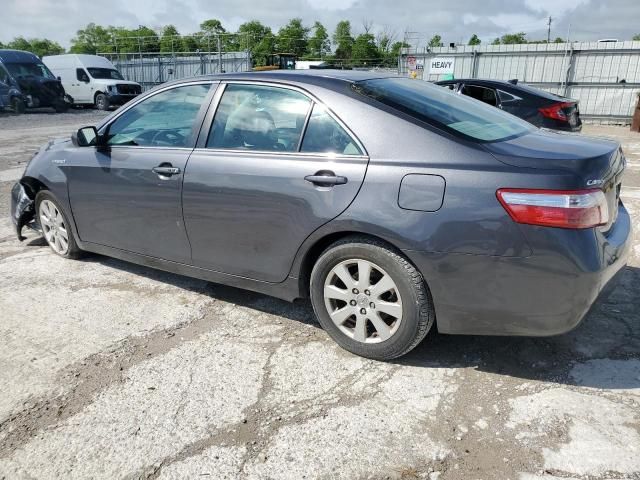 2009 Toyota Camry Hybrid