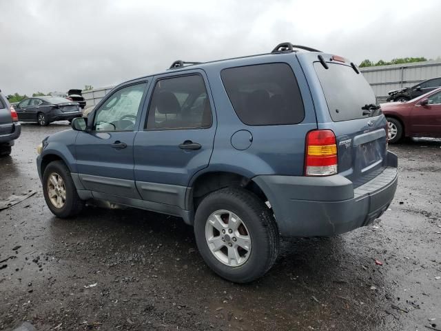 2005 Ford Escape XLT