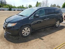 Salvage cars for sale from Copart Ontario Auction, ON: 2012 Honda Odyssey EXL