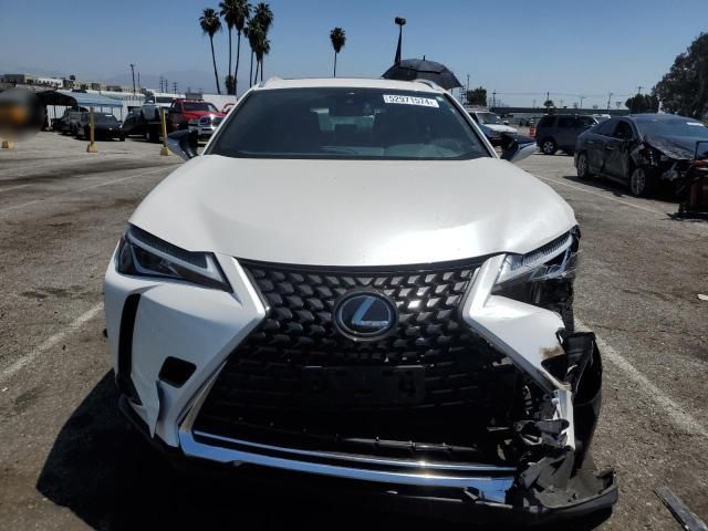 2019 Lexus UX 200