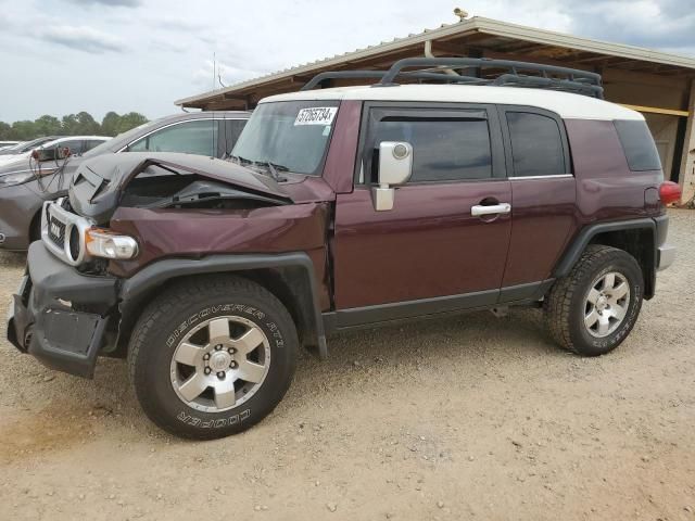 2007 Toyota FJ Cruiser