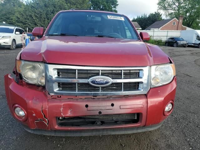 2010 Ford Escape Limited