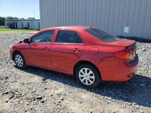 2010 Toyota Corolla Base