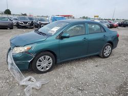 Toyota salvage cars for sale: 2010 Toyota Corolla Base