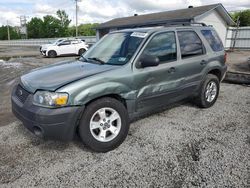 Ford salvage cars for sale: 2007 Ford Escape XLT